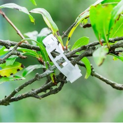 Objemka za steblo rastline paradižnika, sadnega drevja 10 ali 20 kos