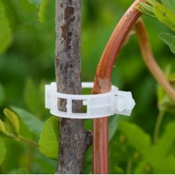 Objemka za steblo rastline paradižnika, sadnega drevja 10 ali 20 kos